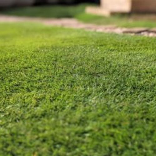 人工芝のデメリット 虫やカビがわきやすい 選び方や費用は Greensnap グリーンスナップ